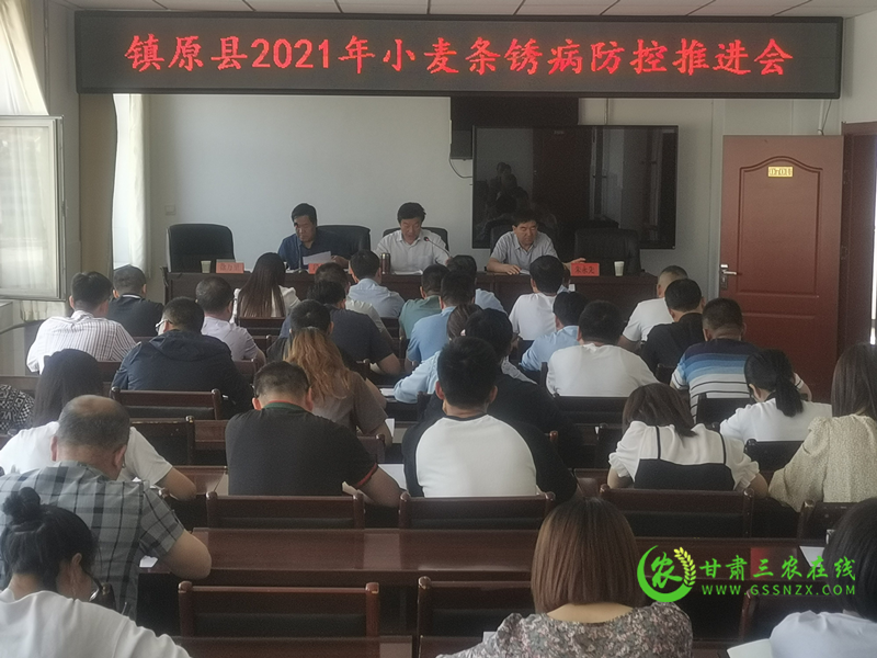 镇原县召开2021年小麦条锈病防控推进会