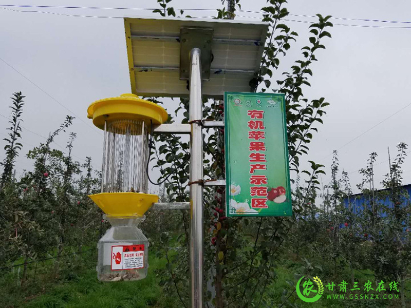 宁县多措并举确保苹果产业快速健康发展