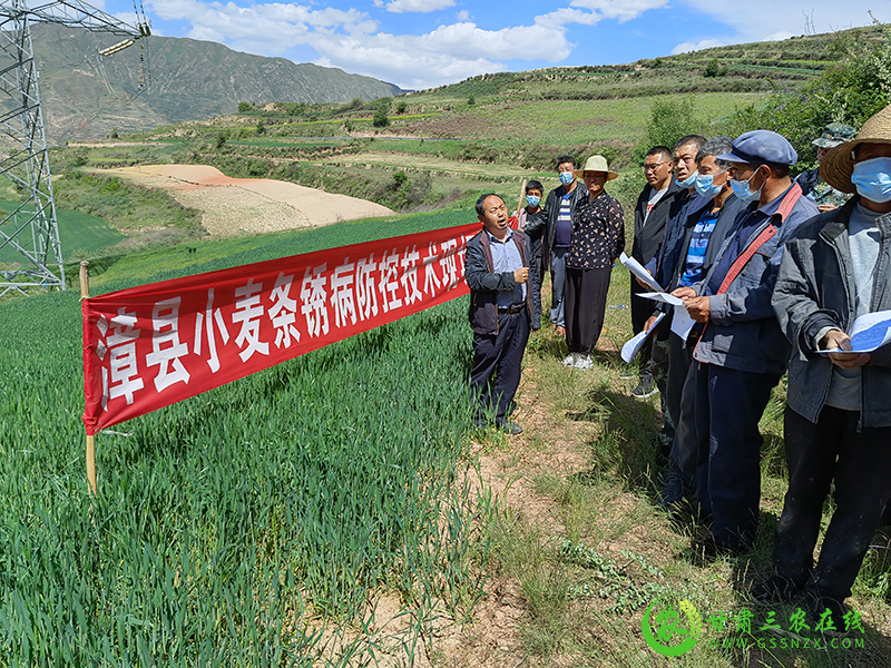 ​定西市积极推进小麦条锈病统防统治工作