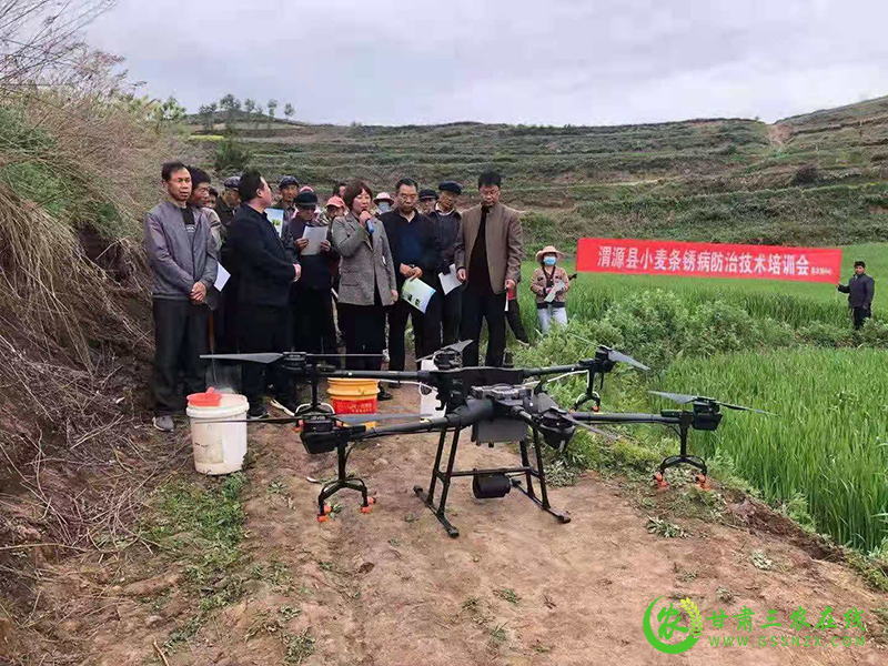 ​定西市积极推进小麦条锈病统防统治工作