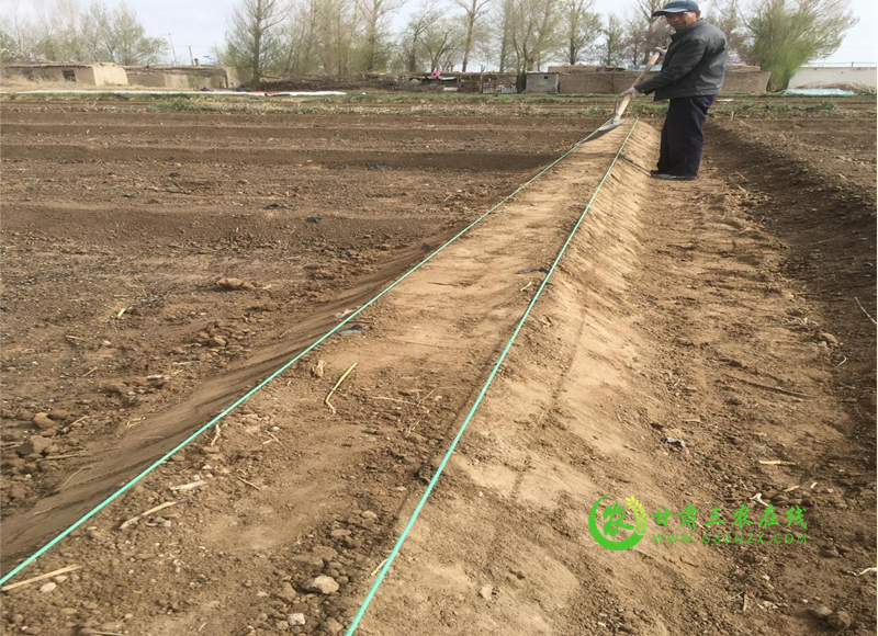 酒泉市农技​中心以试验示范为抓手积极推进化肥减量增效