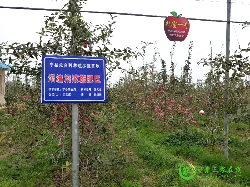 宁县打造形成独具特色生态农业发展新模式