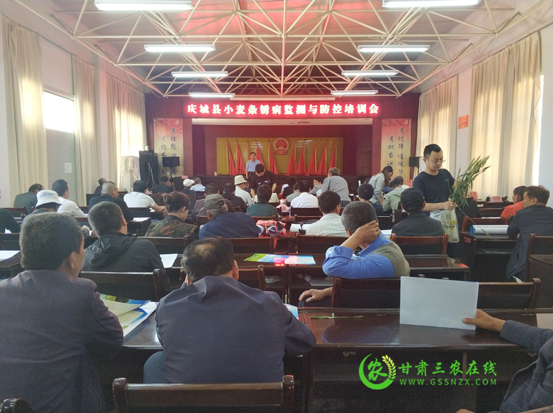 庆城县多措并举大力开展小麦条锈病防控工作