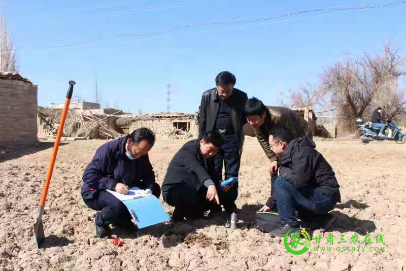 酒泉市开展退化耕地治理加快落实“藏粮于地、藏粮于技”战略