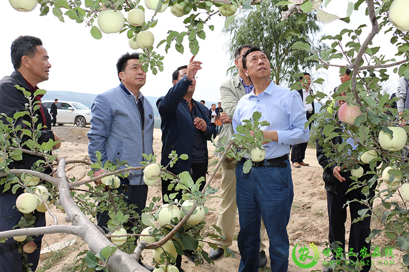 静宁县积极开展节水技术试验研究保障农业生态安全