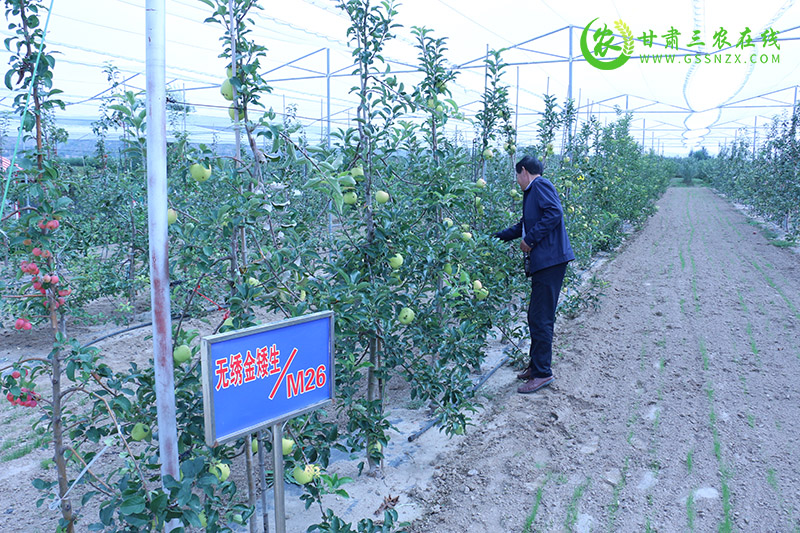 静宁县积极开展节水技术试验研究保障农业生态安全