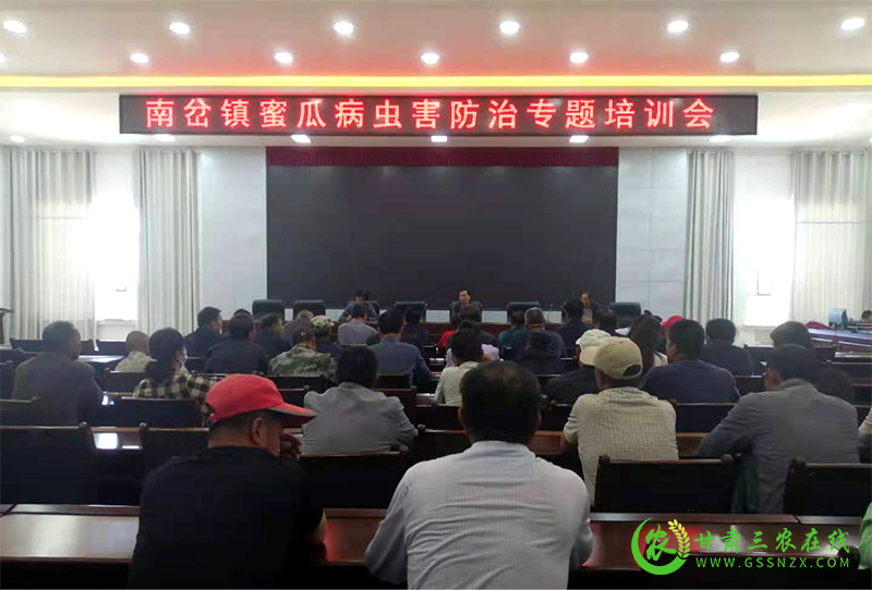瓜州县农技中心：技术送到田间地头  服务融进群众心里