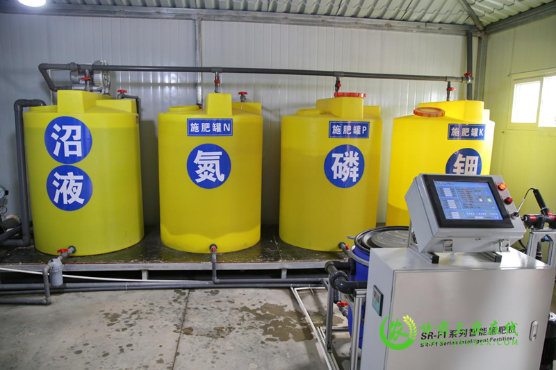 高台县示范推广玉米“一增四改两推”技术助推粮食提质增效