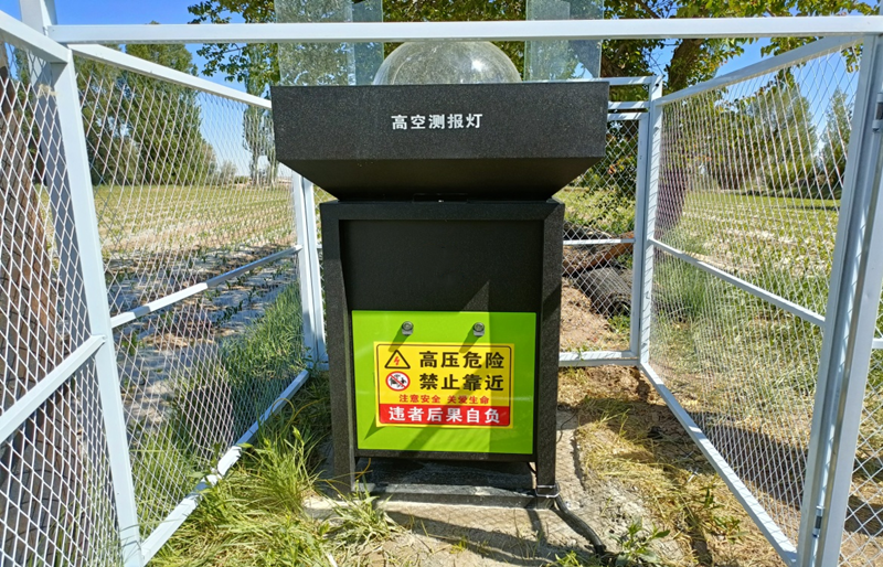 玉门市强化监测预警全力打好草地贪夜蛾入侵阻击战