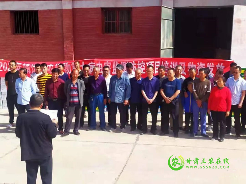 靖远县农技中心:多措并举确保夏粮丰收