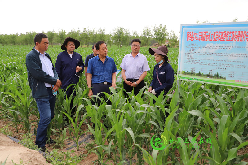 临泽县联合科研院所开展土壤障碍因素技术攻关