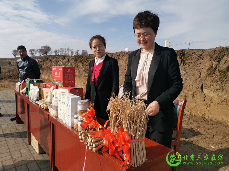 陇西县今年继续推广应用测土配方施肥技术面积119万亩