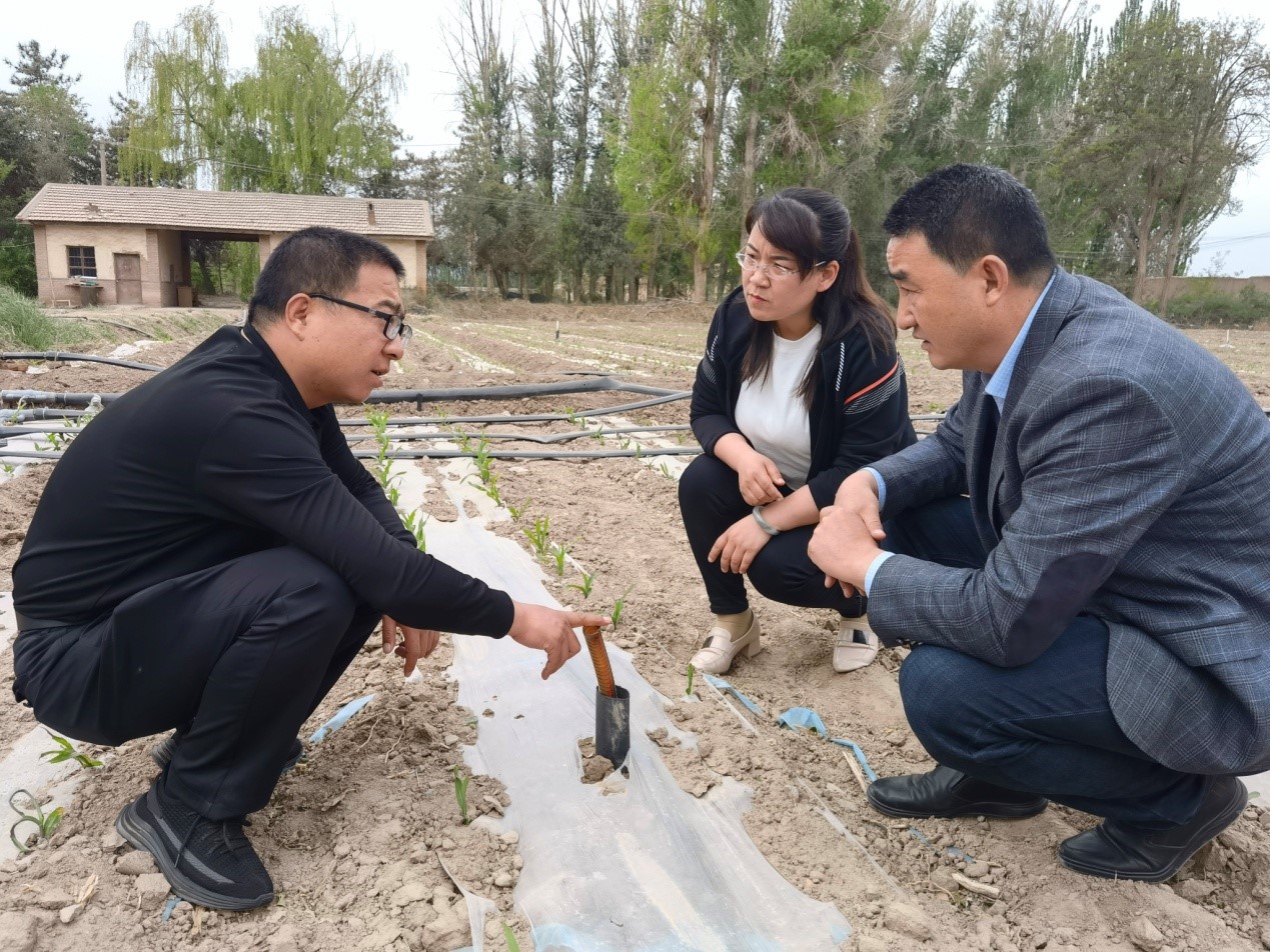 张掖强化农业面源污染监测 积极推进化肥减量增效