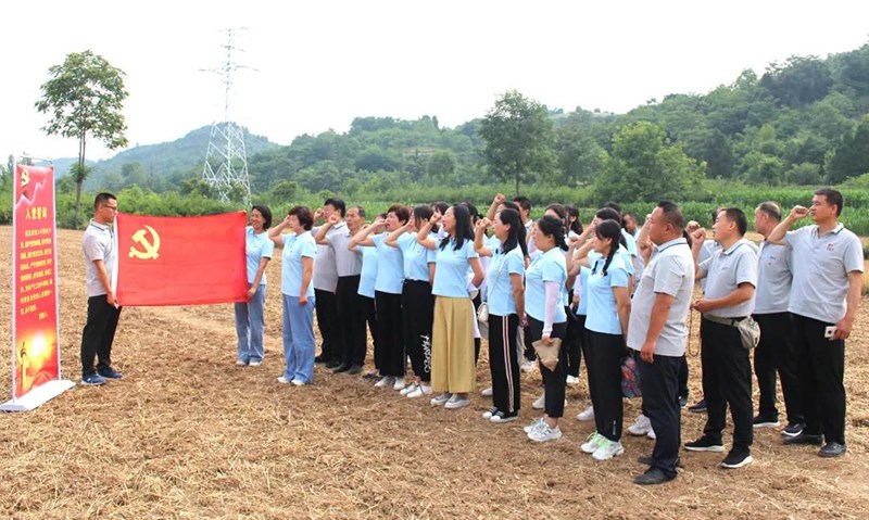 徽县农技中心开展“启航新征程 助推乡村振兴”庆祝建党百年系列活动