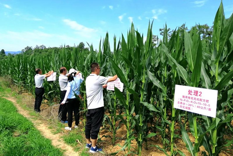 徽县农技中心开展“启航新征程 助推乡村振兴”庆祝建党百年系列活动