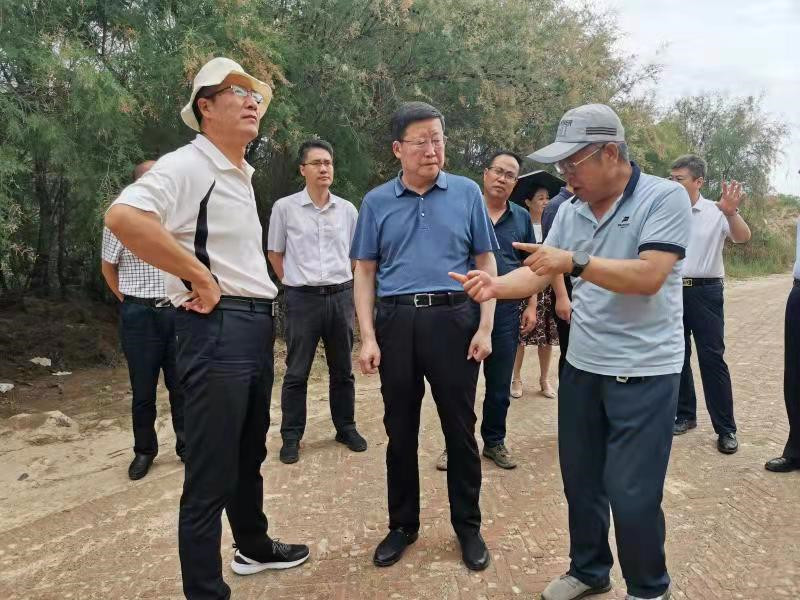 省林草局局长宋尚有调研兰州市南北两山造林绿化工作