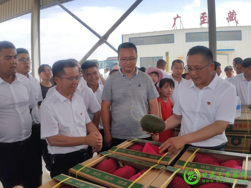 瓜州：观摩学习谋思路 乡村振兴正当时