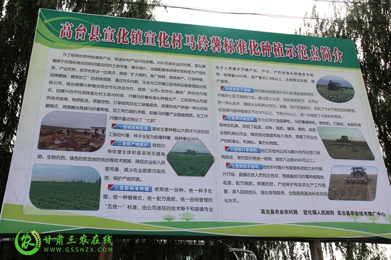高台县马铃薯专家服务团抓点示范见成效