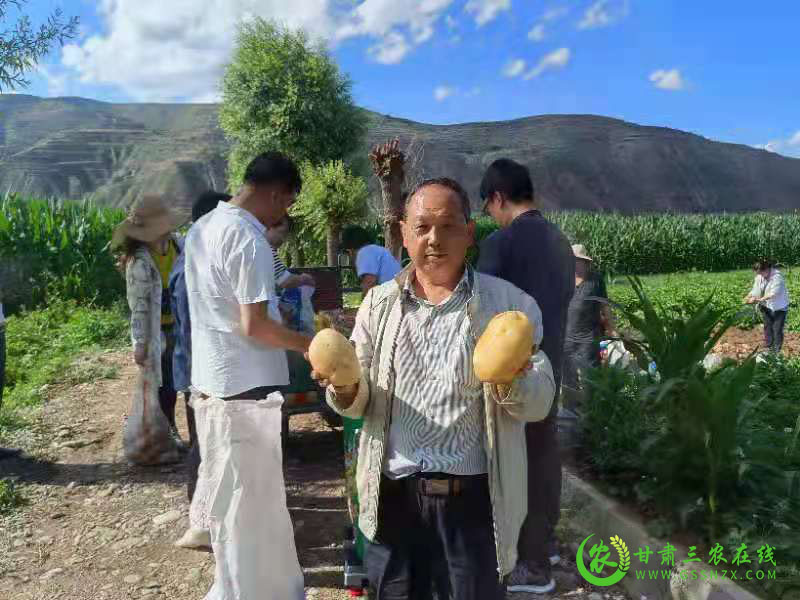 漳县召开2021年马铃薯晚疫病监测防控培训会
