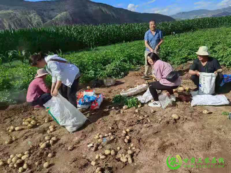 漳县召开2021年马铃薯晚疫病监测防控培训会