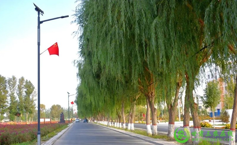 瓜州县建好农村路 畅通乡村振兴道