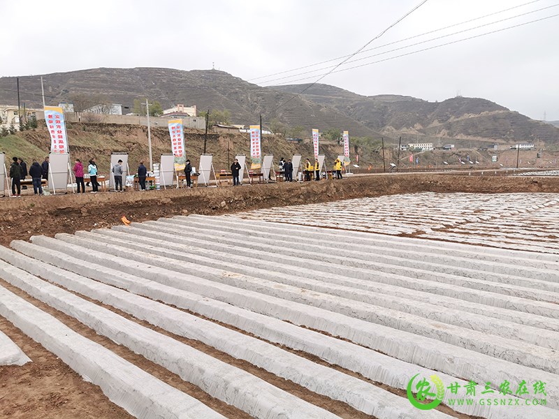 临洮县加强保障措施确保旱作节水农业技术推广项目顺利实施