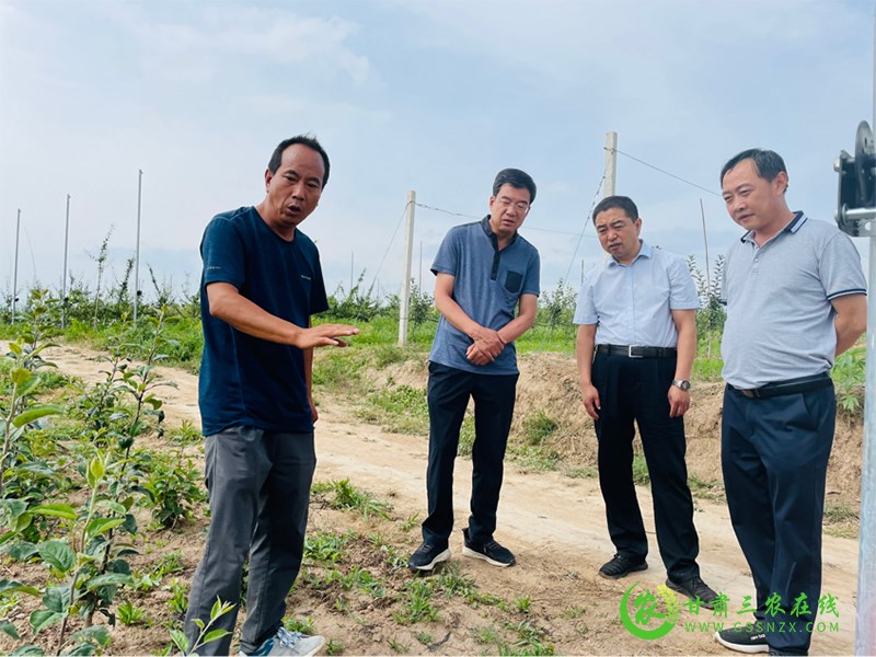 省经作站站长李向东一行调研督导麦积区苹果绿色高质高效建设工作