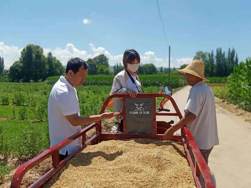 临洮县农机中心认真开展小麦机械化收获减损指导