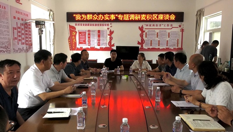 省乡村振兴局副局长陈崇贵一行在麦积区开展党史学习教育“我为群众办实事”专题调研