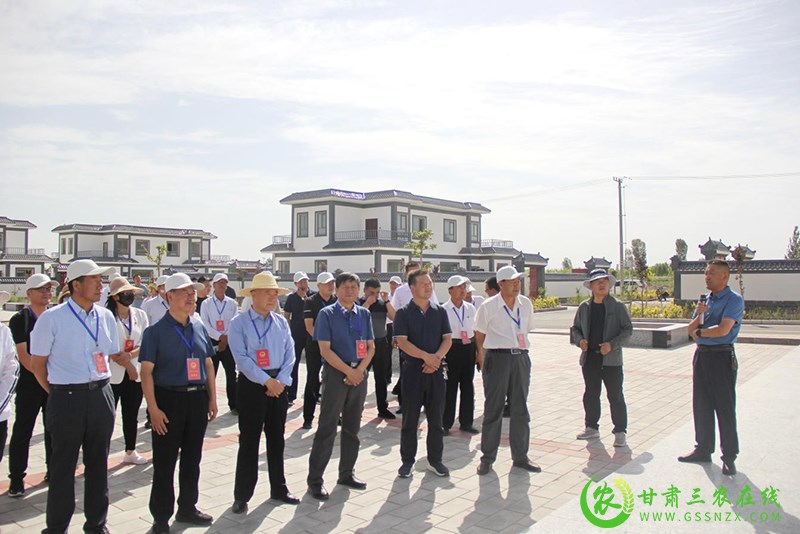 高台县组织部分市县人大代表视察全县农业农村重点工作