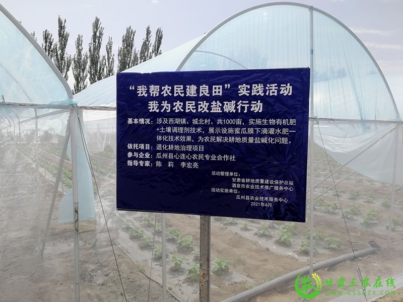 瓜州县农技中心扎实开展“我为农民建良田”实践活动