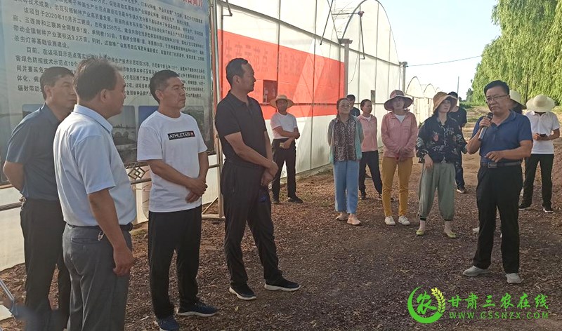 酒泉市农技系统抓点示范现场观摩培训活动顺利进行