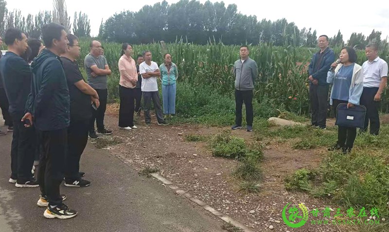 酒泉市农技系统抓点示范现场观摩培训活动顺利进行