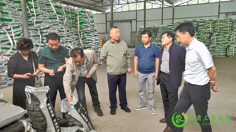 徽县推广应用化肥减量技术促进绿色环保节本增效