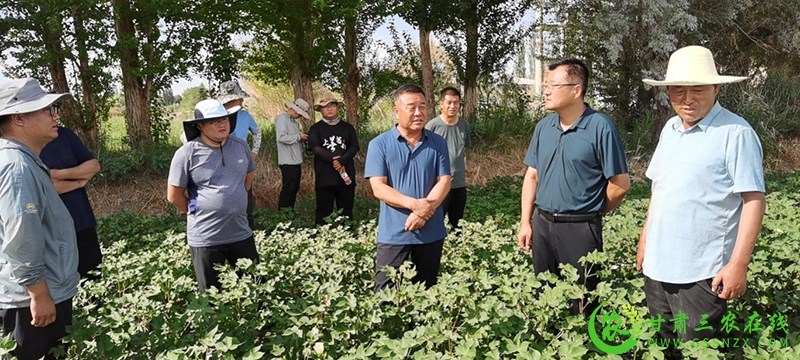 瓜州县水务局多措并举筑牢安全防护网