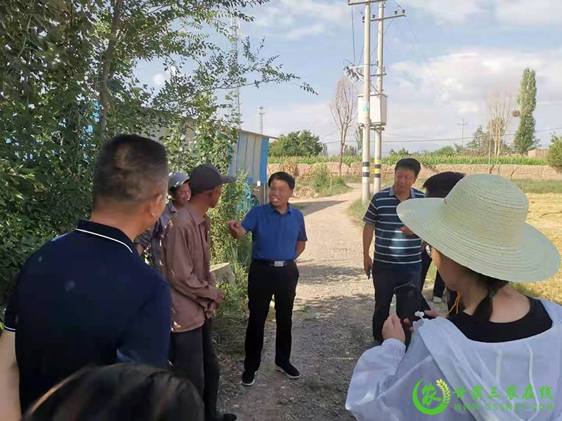 省农业技术推广总站赴古浪县开展基层农技推广体系改革与建设补助项目督导检查及小麦测产工作