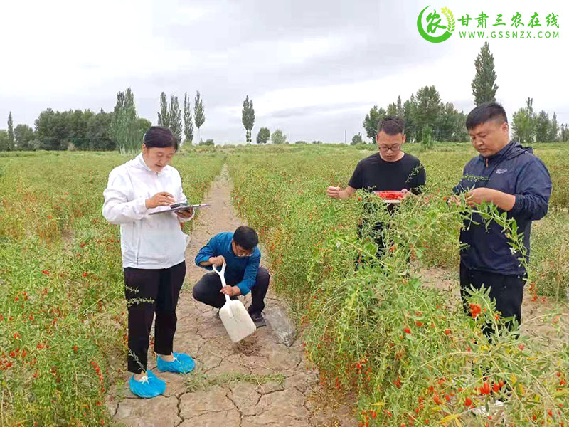 瓜州：做好质量检测 确保“食尖上”的安全