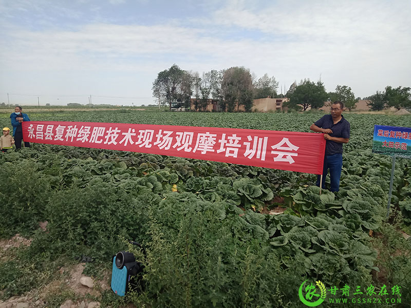 永昌县农技中心召开菜后复种绿肥技术现场观摩培训会