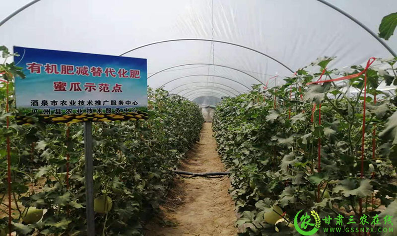 酒泉市加强农业科技示范点建设 加快农业技术推广步伐