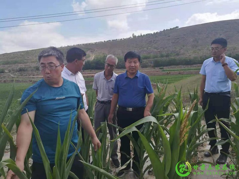 省农业农村厅工作组赴白银定西平凉等市县区开展灾情核查及指导救灾工作