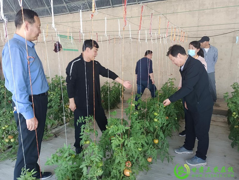 酒泉市农技​中心发挥劳模创新驱动作用  引领戈壁农业高质量发展