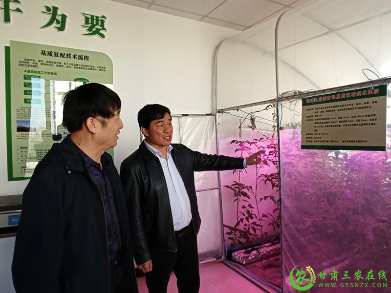酒泉市农技​中心发挥劳模创新驱动作用  引领戈壁农业高质量发展