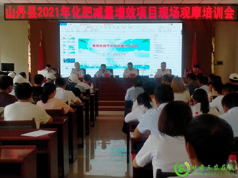 山丹县农技中心化肥减量增效千亩核心示范区作物长势喜人
