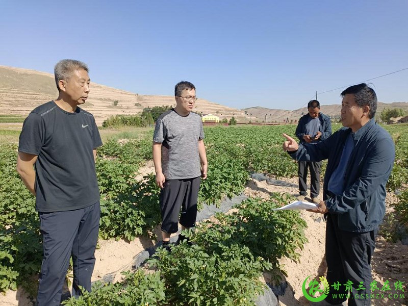 省农机推广总站​积极推进丘陵山地马铃薯联合收获工作