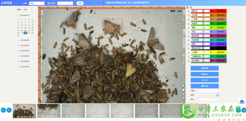 高台县“虫脸识别”： 一键识别害虫 助力病虫防控