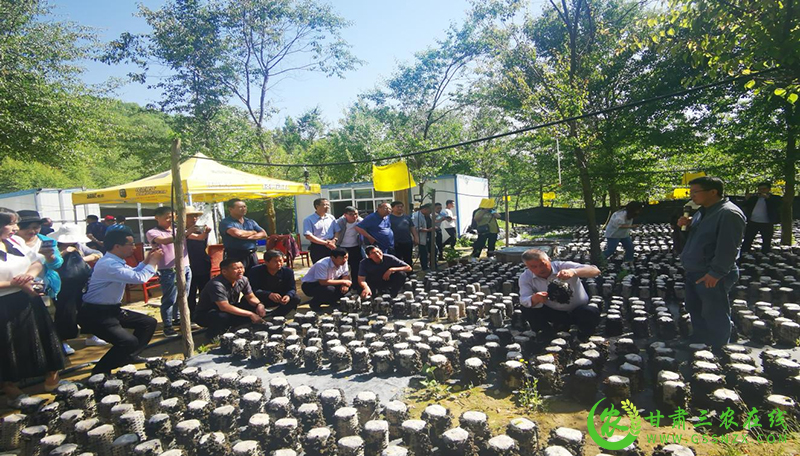 临夏州农技中心举办全州化肥减量增效与退化耕地治理技术现场观摩培训会