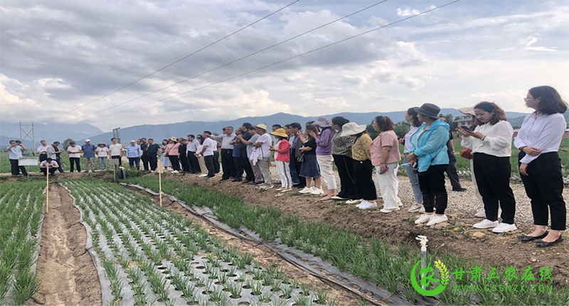 临夏州农技中心举办全州化肥减量增效与退化耕地治理技术现场观摩培训会