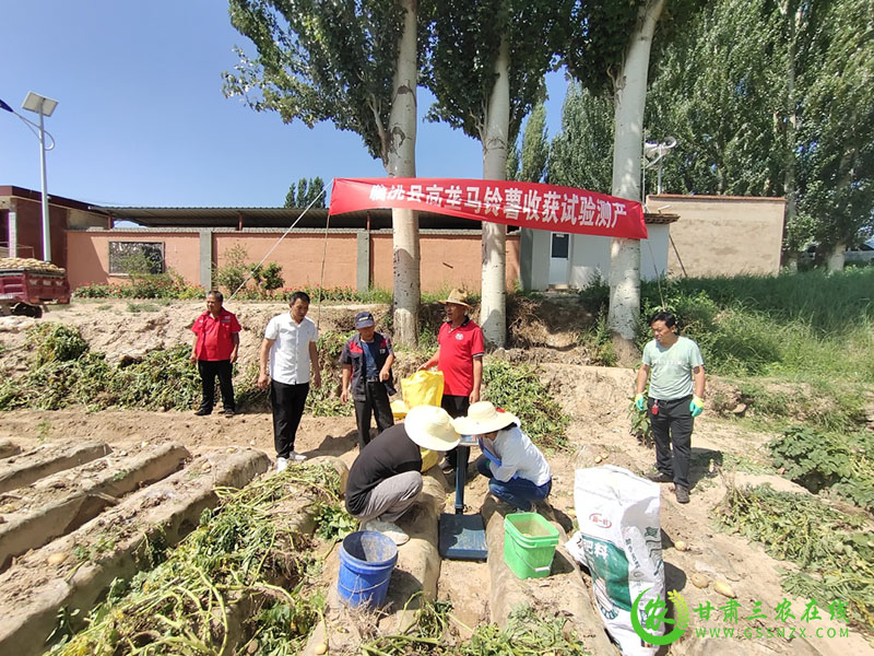 省农机推广总站专家组到临洮县高垄马铃薯示范基地试验测产