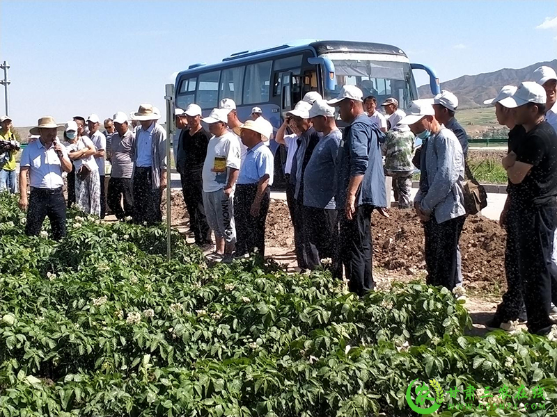 山丹县：观摩评比找差距 学习借鉴促提升