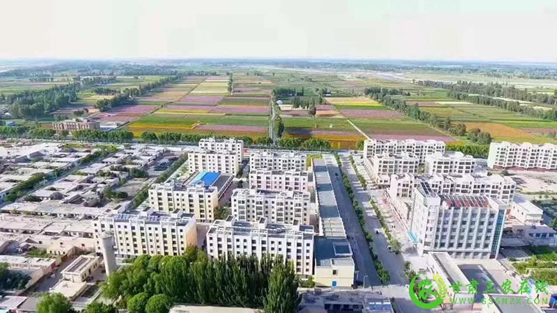 瓜州：树农旅融合新标杆 绘乡村振兴新画卷